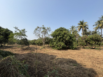 Property for sale in Kharekuran, Palghar