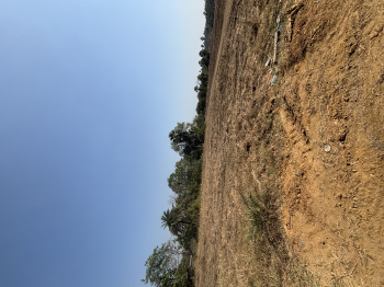 Property for sale in Shirgaon, Palghar