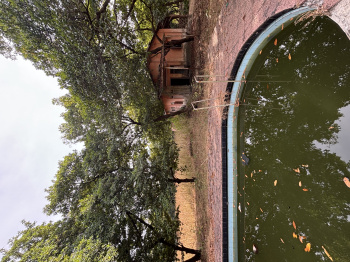Farm House for Sale in Dahanu, Palghar (140 Guntha)