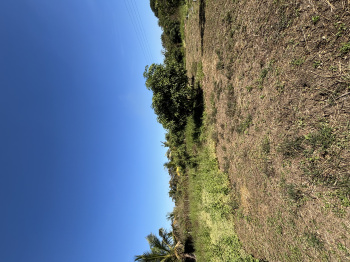 Residential Plot for Sale in Kelwa, Palghar (80 Guntha)