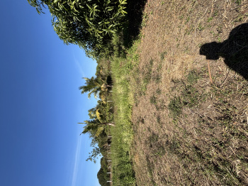 Property for sale in Kelwa, Palghar