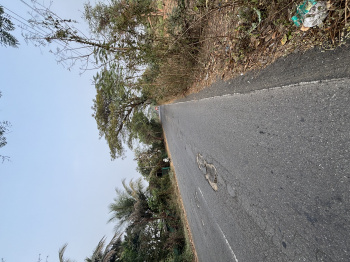 Residential Plot for Sale in Mahim Road, Palghar (4 Guntha)