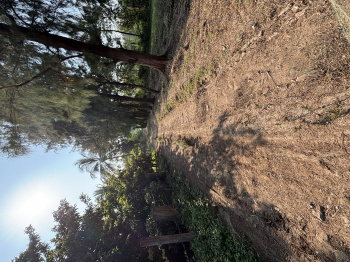 32 Acre Residential Plot for Sale in Dahanu, Palghar