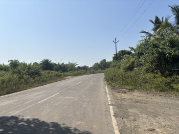 40000 Guntha Residential Plot for Sale in Wada, Palghar