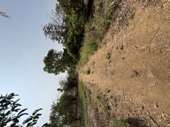 Residential Plot for Sale in Manor, Palghar (24 Acre)