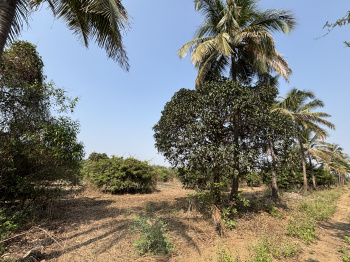 Property for sale in Manor, Palghar