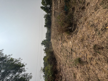 Residential Plot for Sale in Kelwa, Palghar (1 Acre)