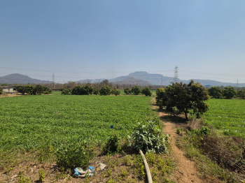Residential Plot for Sale in Wada, Palghar (20 Acre)