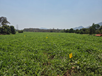 Property for sale in Wada, Palghar