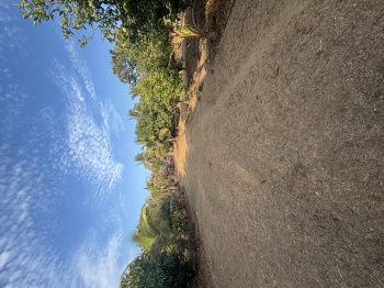Residential Plot for Sale in Dahanu, Palghar (80 Guntha)