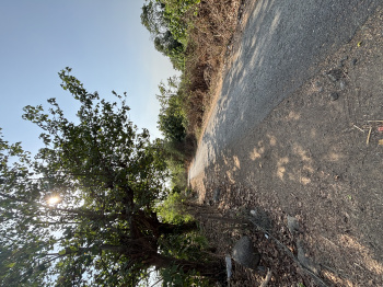 40 Guntha Residential Plot for Sale in Boisar East, Palghar