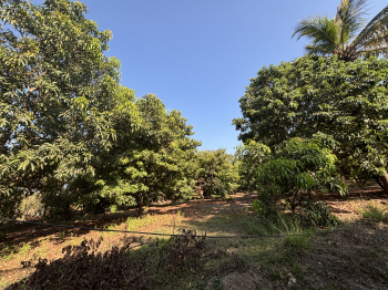 Property for sale in Gholvad, Palghar