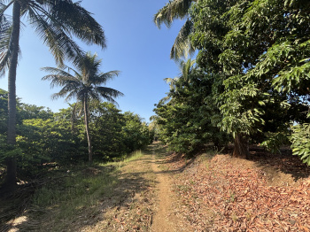 Property for sale in Gholvad, Palghar