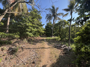 Property for sale in Gholvad, Palghar