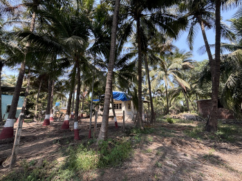 4500 Sq.ft. Residential Plot for Sale in Khaira, Palghar