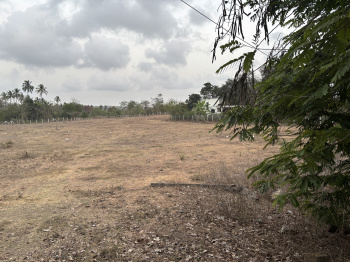 Residential Plot for Sale in Dahanu, Palghar (200 Guntha)