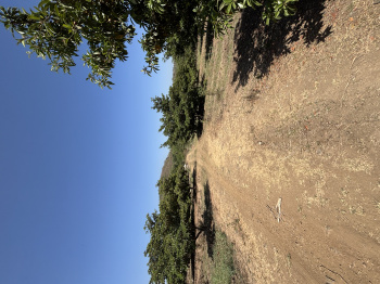 Residential Plot for Sale in Dahanu, Palghar (5 Hectares)