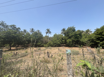 Residential Plot for Sale in Dahanu, Palghar (9 Acre)