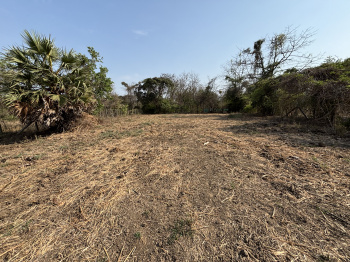 Residential Plot for Sale in Dahanu, Palghar (2 Acre)