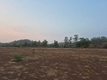 Residential Plot for Sale in Mahim Road, Palghar (22 Acre)