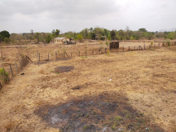 2 Acre Residential Plot for Sale in Mahim Road, Palghar