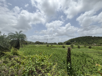 Farm House for Sale in Wada, Palghar (160 Guntha)