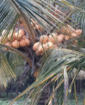 Property for sale in Namagiripettai, Namakkal