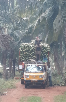 Property for sale in Namagiripettai, Namakkal