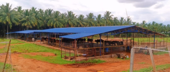 Property for sale in Namagiripettai, Namakkal