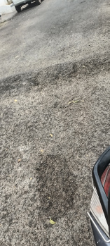 Flats & Apartments for Sale in Fairlands, Salem (1530 Sq.ft.)