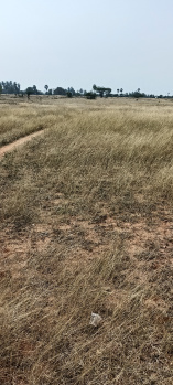 Agricultural/Farm Land for Sale in Poolathur, Kodaikanal (3.5 Acre)