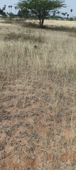 Property for sale in Gorimedu, Salem
