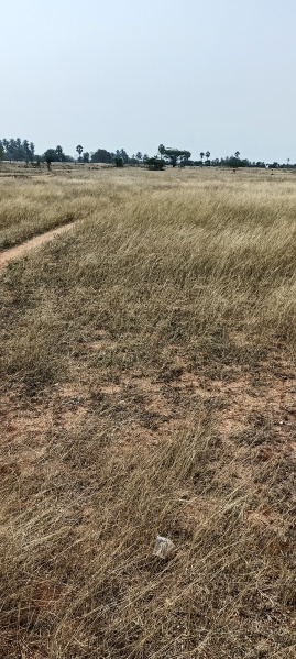 Property for sale in Kannankurichi, Salem