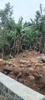 Residential Plot for Sale in Yercaud, Salem (2000 Sq.ft.)