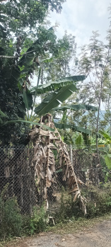 Property for sale in Yercaud, Salem