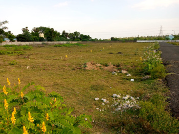 Residential Plot For Sale In Vellakinar, Coimbatore (430 Sq.ft.)