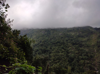 Property for sale in Coonoor, Ooty