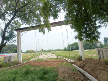 plot available for sale on  ramaipur to majhavan road on main highway
