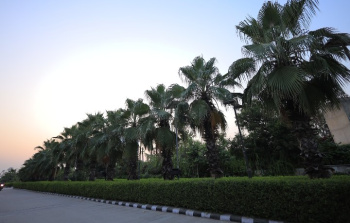 450 Sq.ft. Studio Apartments For Sale In Jait, Vrindavan