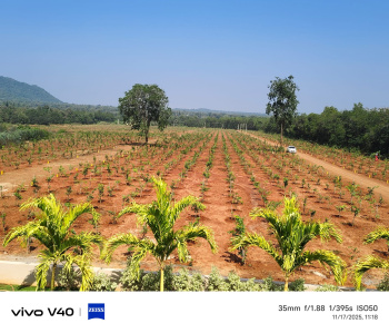 Property for sale in Tagarapuvalasa, Visakhapatnam