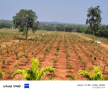 Property for sale in Tagarapuvalasa, Visakhapatnam
