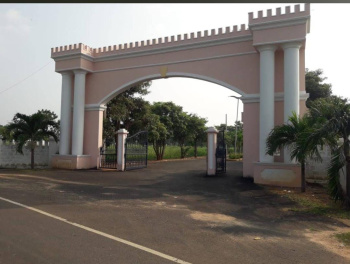 Bhogapuram comercial plots sale