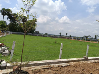 Property for sale in Chelluru, Vizianagaram