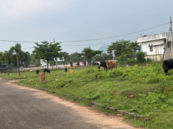 Property for sale in Tagarapuvalasa, Visakhapatnam