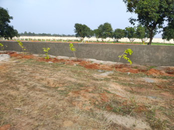 Residential Plot for Sale in Padmanabham, Visakhapatnam (200 Sq. Yards)