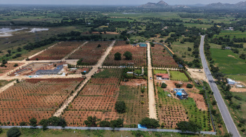 Agricultural/Farm Land for Sale in Gowribidanur, ChikBallapur (5500 Sq.ft.)