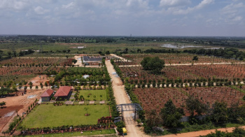 5500 Sq.ft. Agricultural/Farm Land for Sale in Chintamani Road, Bangalore