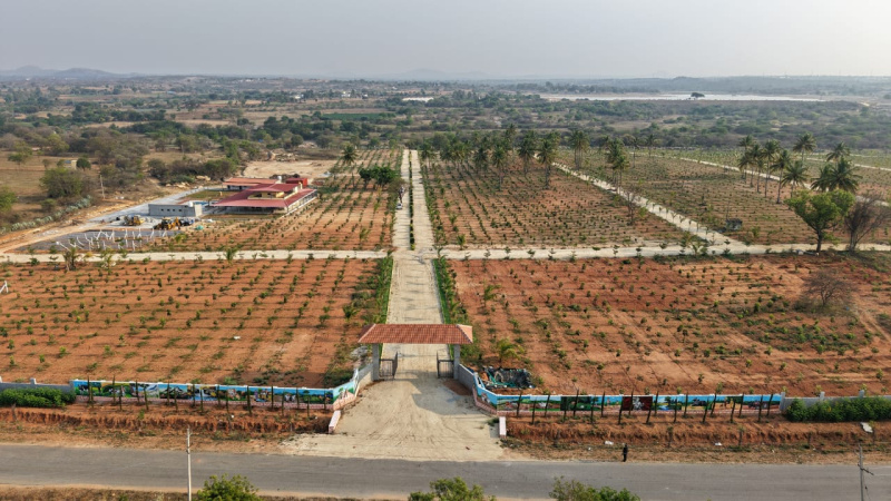 Agricultural/Farm Land for Sale in Gauribidanur, Bangalore