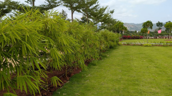 Property for sale in Guddadahalli, Bangalore