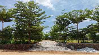 Property for sale in Chintamani, ChikBallapur